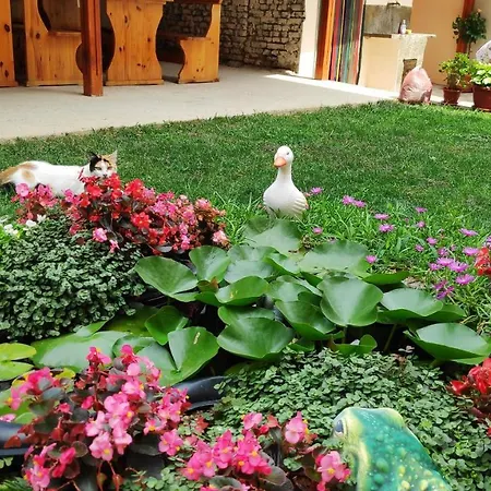 בית הארחה Къща За Гости Снежа, Guests House Snezha אובזור