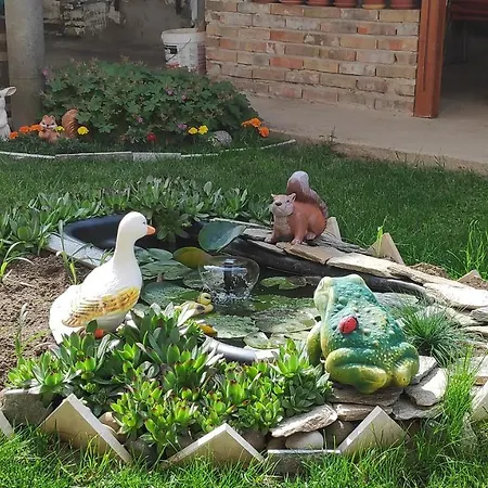 Къща За Гости Снежа, Guests House Snezha בית הארחה אובזור